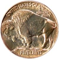 1913 Type I Buffalo Nickel, reverse