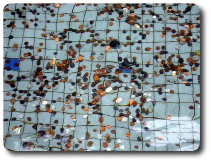 Coins in Fountain
